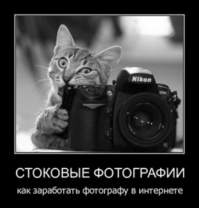 Заработок на микростоках для фотографа