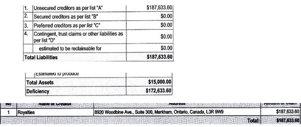 Crestock debt and asset structure